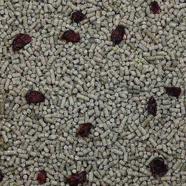 Sugar Glider Food N416