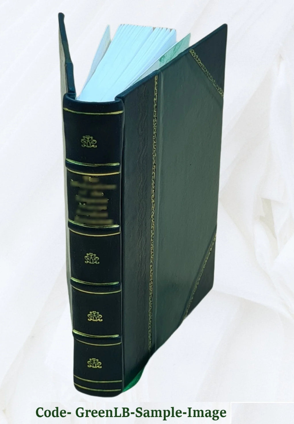 Leather Bound The Aeneid of Virgil L384