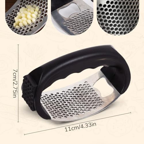Stainless Steel Garlic Presser F819395