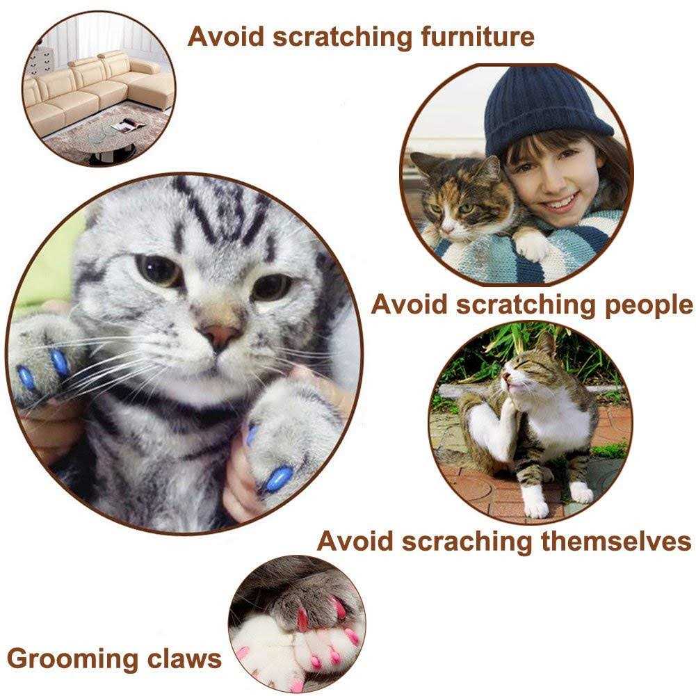 Soft Cat Caps Claws Paws W665
