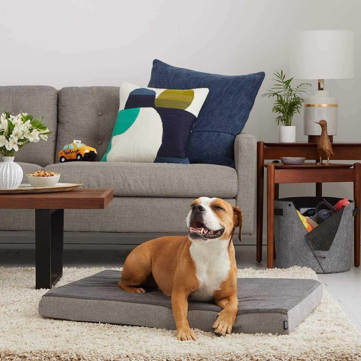 Memory Foam Platform Dog Bed Plush Mattress R3675