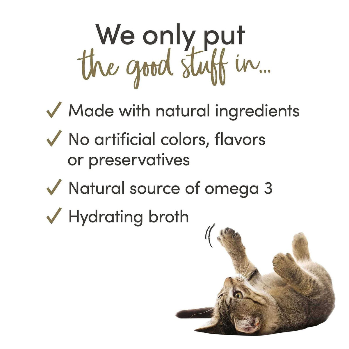 Wet Cat Food R931