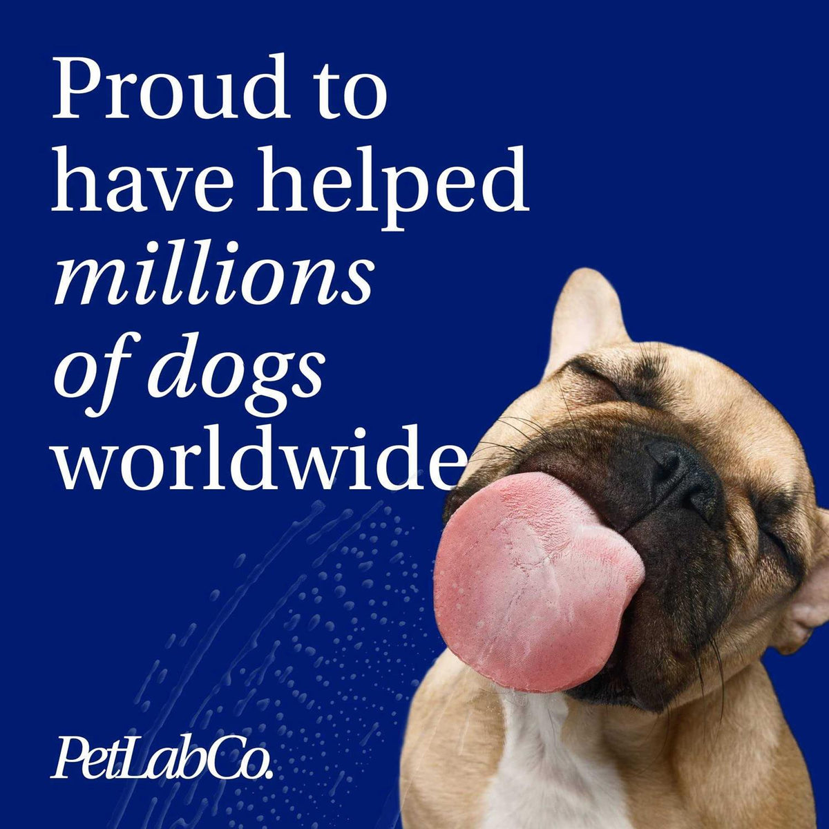 Allergy & Immune Probiotic Chew Supplement for Dogs P7966