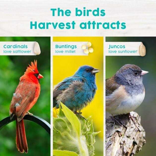 Wild Bird Food O5169