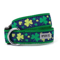 Dog Collar V417086
