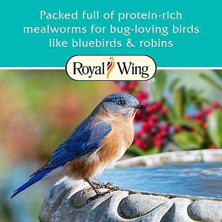 Mealworm Suet Wild Bird Food E424753
