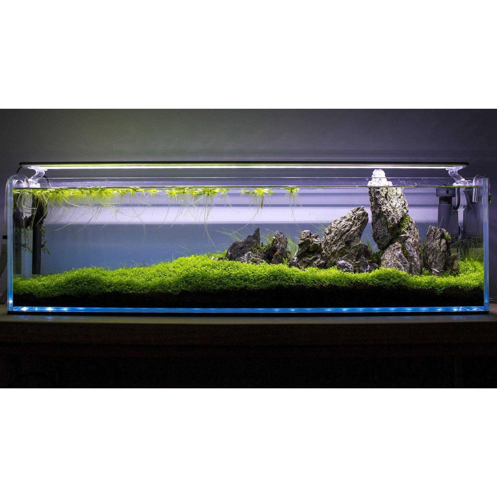 12.7 Gallon Aquarium D167123