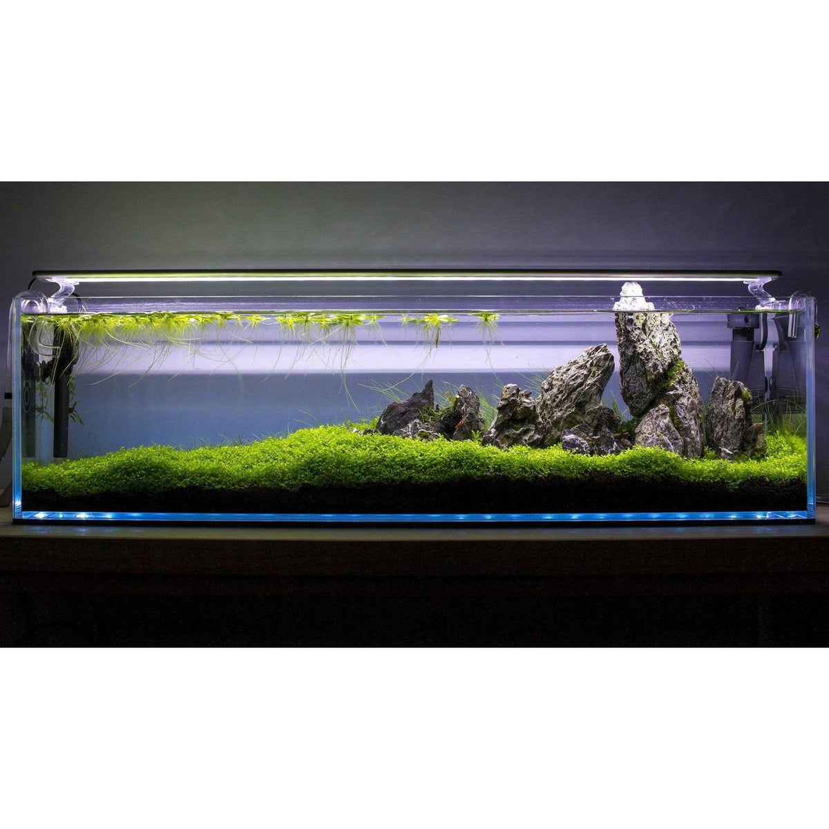 12.7 Gallon Aquarium D167123