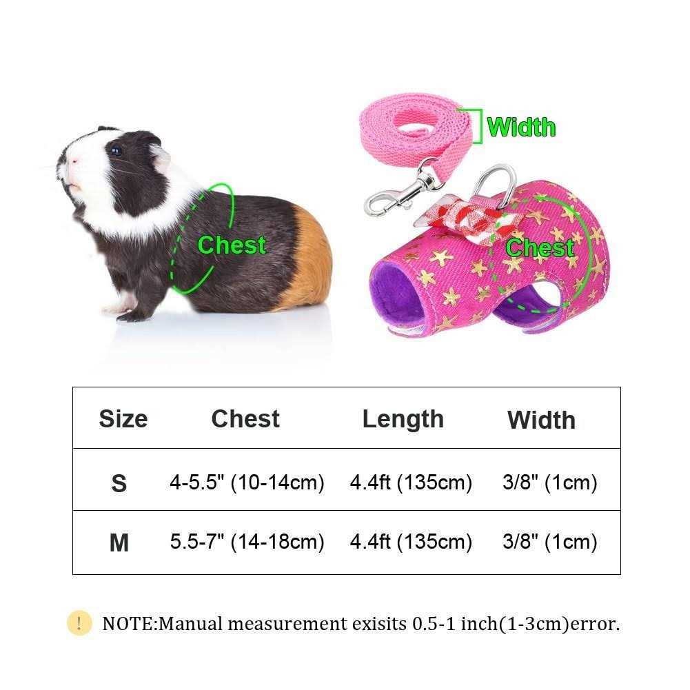 Small Pet Outdoor Walking Harness Vest and Leash Set with Bowknot Z247738