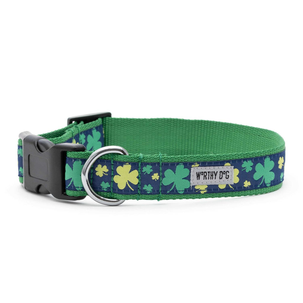 Dog Collar V417086