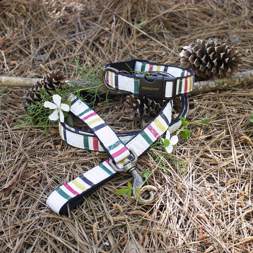 Dog Collar J45826