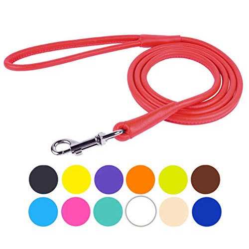 Rolled Leather Dog Leash F31091