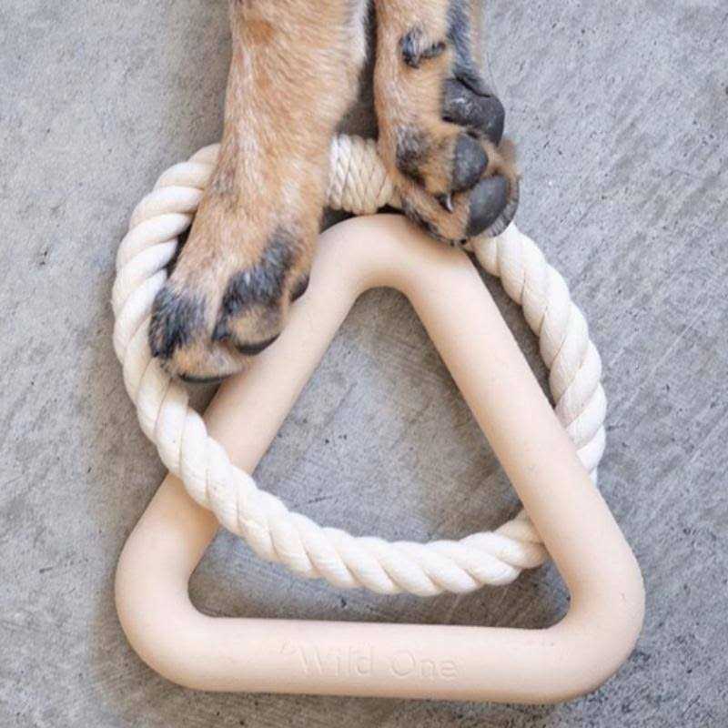 Triangle Tug Dog Toy F63964