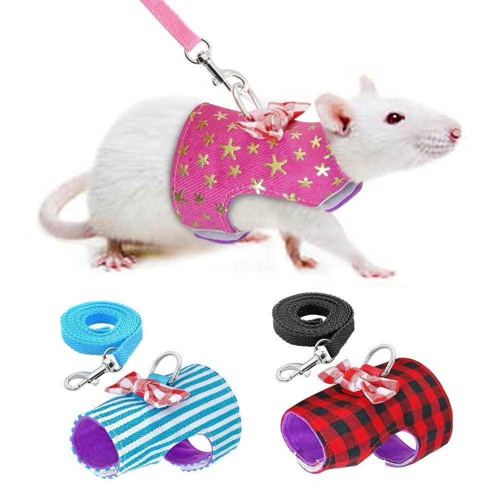 Small Pet Outdoor Walking Harness Vest and Leash Set with Bowknot Z247738
