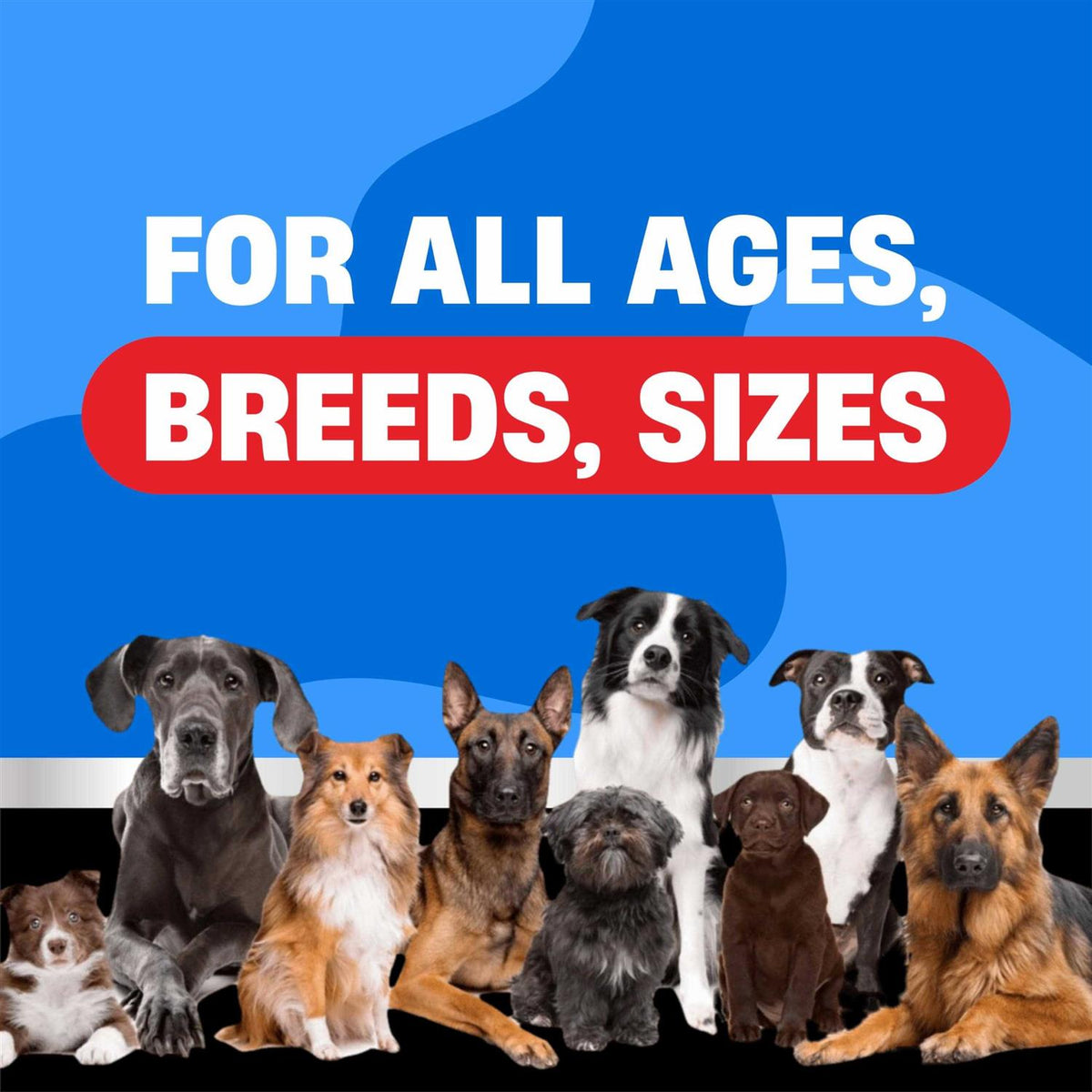 Dog Flea and Tick Chewable Tablets T85075