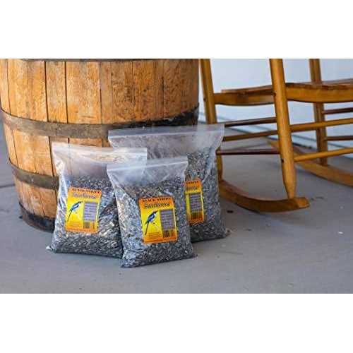 Striped Sunflower Seeds T787