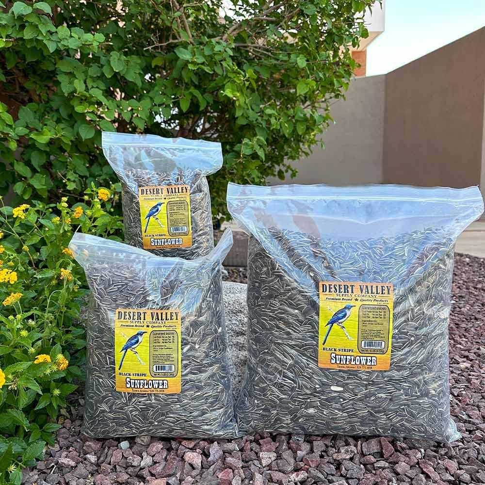 Striped Sunflower Seeds T787