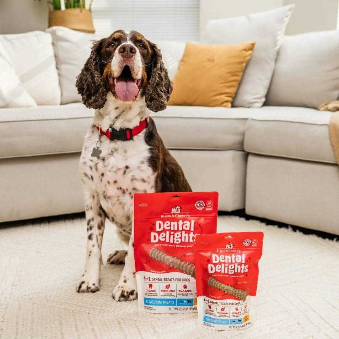 Dog Treats W5057