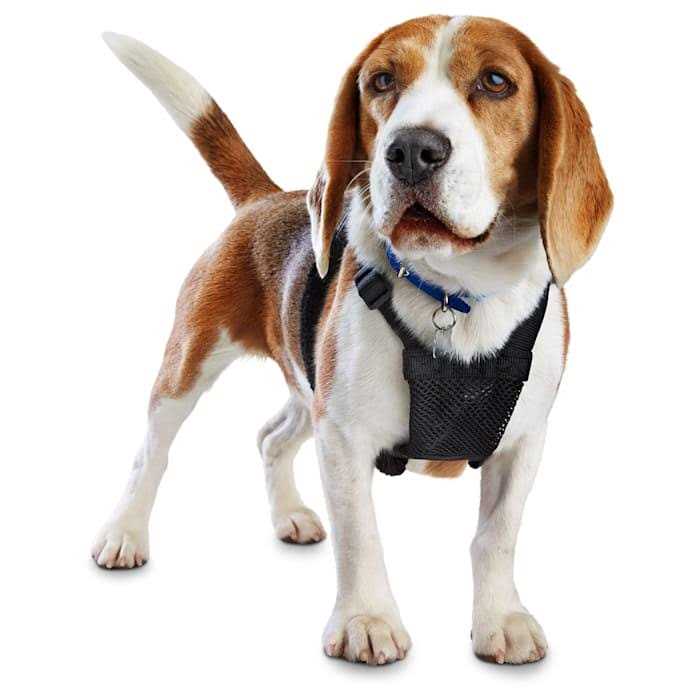 Black No Pull Dog Harness C4772