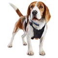 Black No Pull Dog Harness C4772