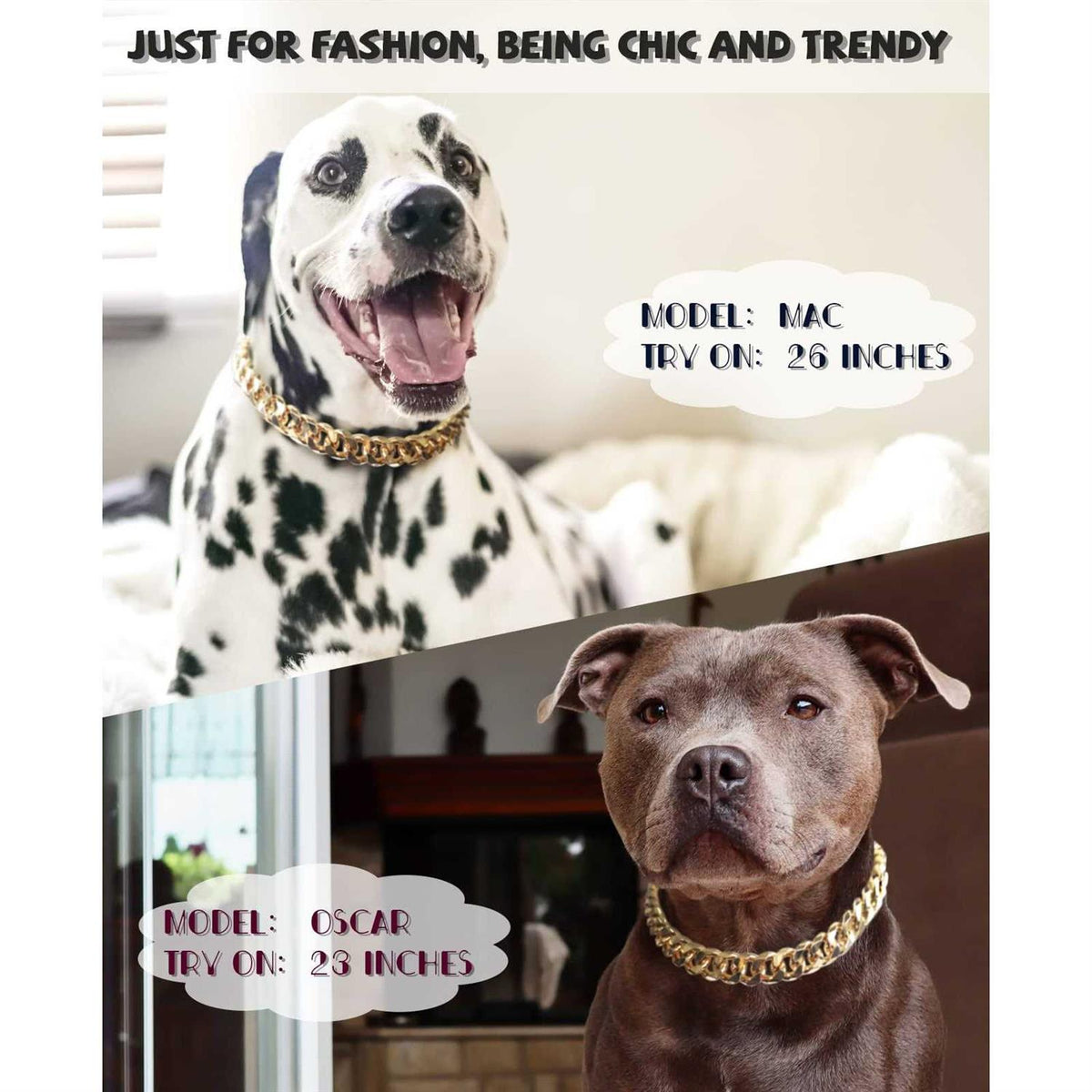 Gold Chain Cuban Link Dog Collar M1909
