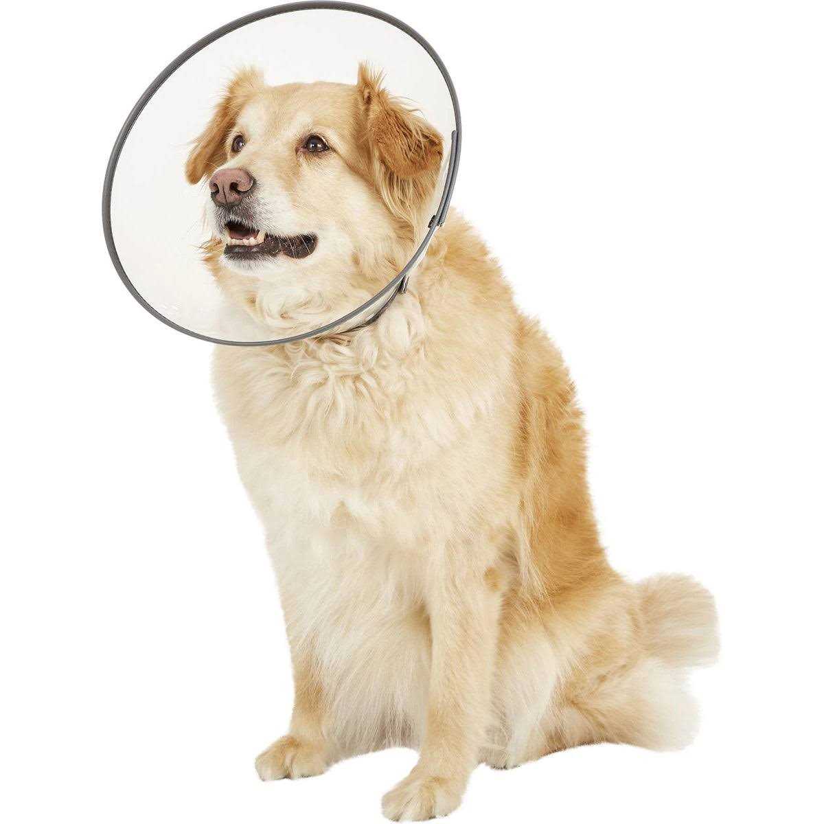 E-Collar U9538