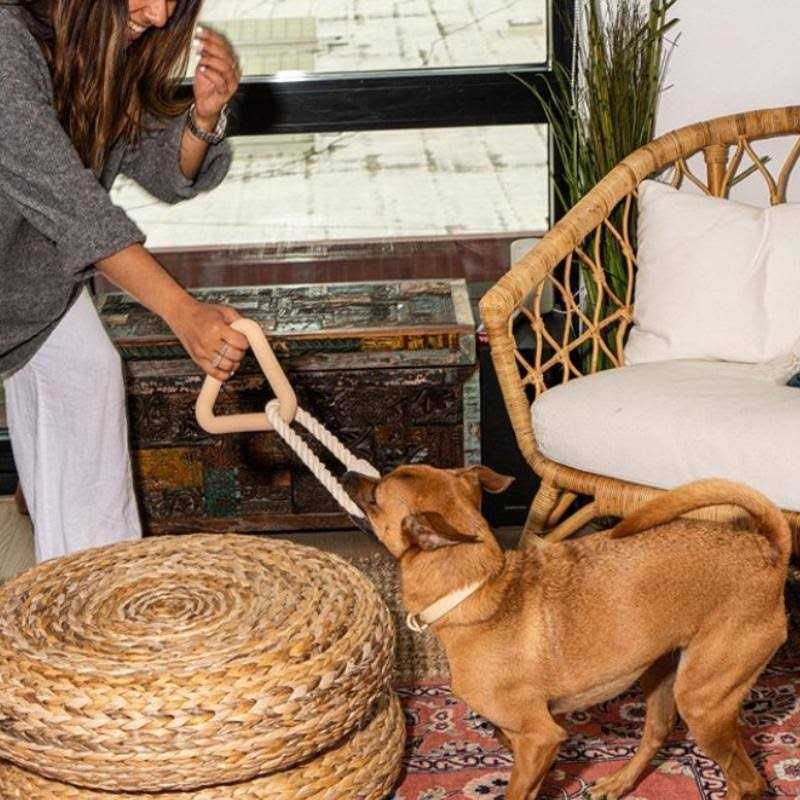 Triangle Tug Dog Toy F63964