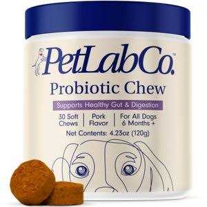 Allergy & Immune Probiotic Chew Supplement for Dogs P7966