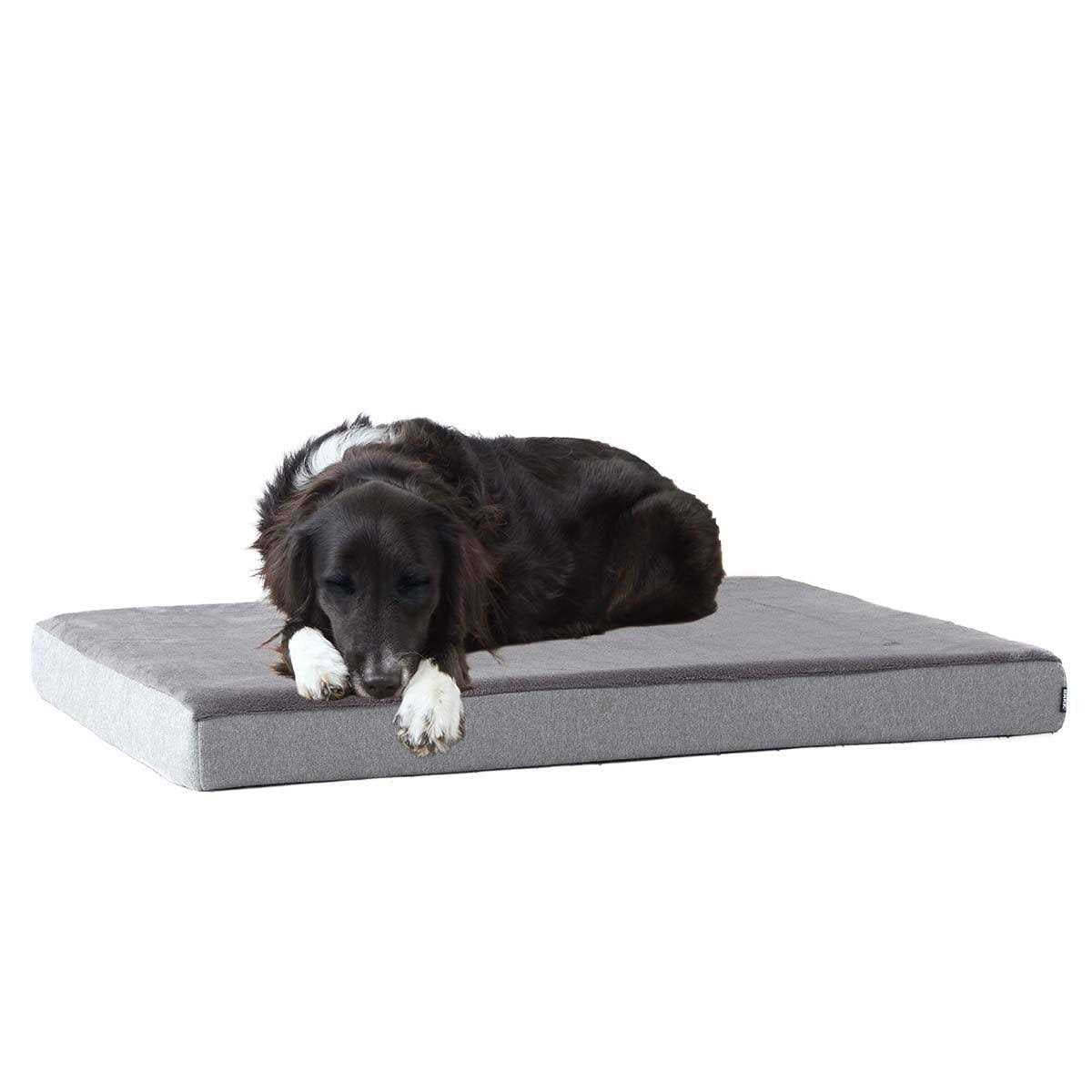 Memory Foam Platform Dog Bed Plush Mattress R3675