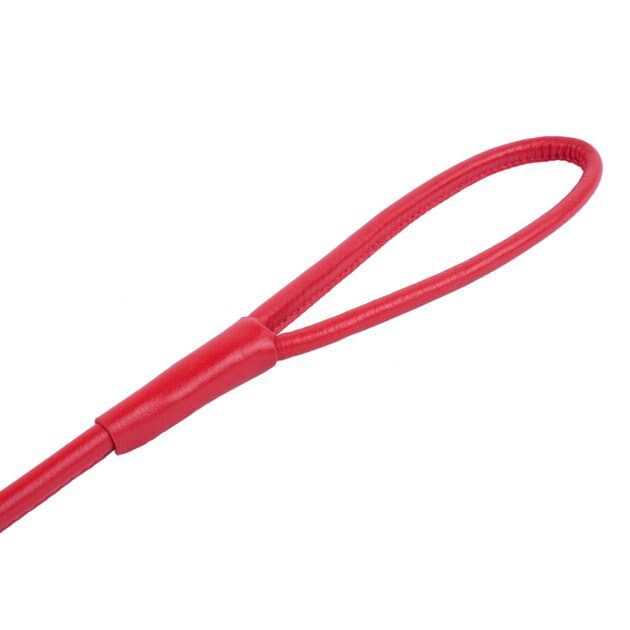 Rolled Leather Dog Leash F31091