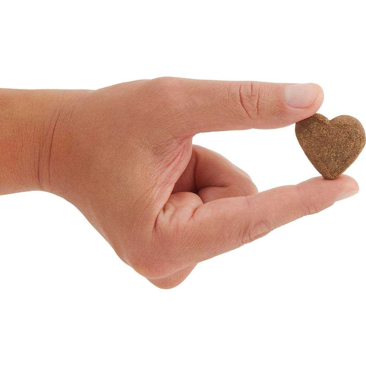 Beef Liver Dog Treats B335