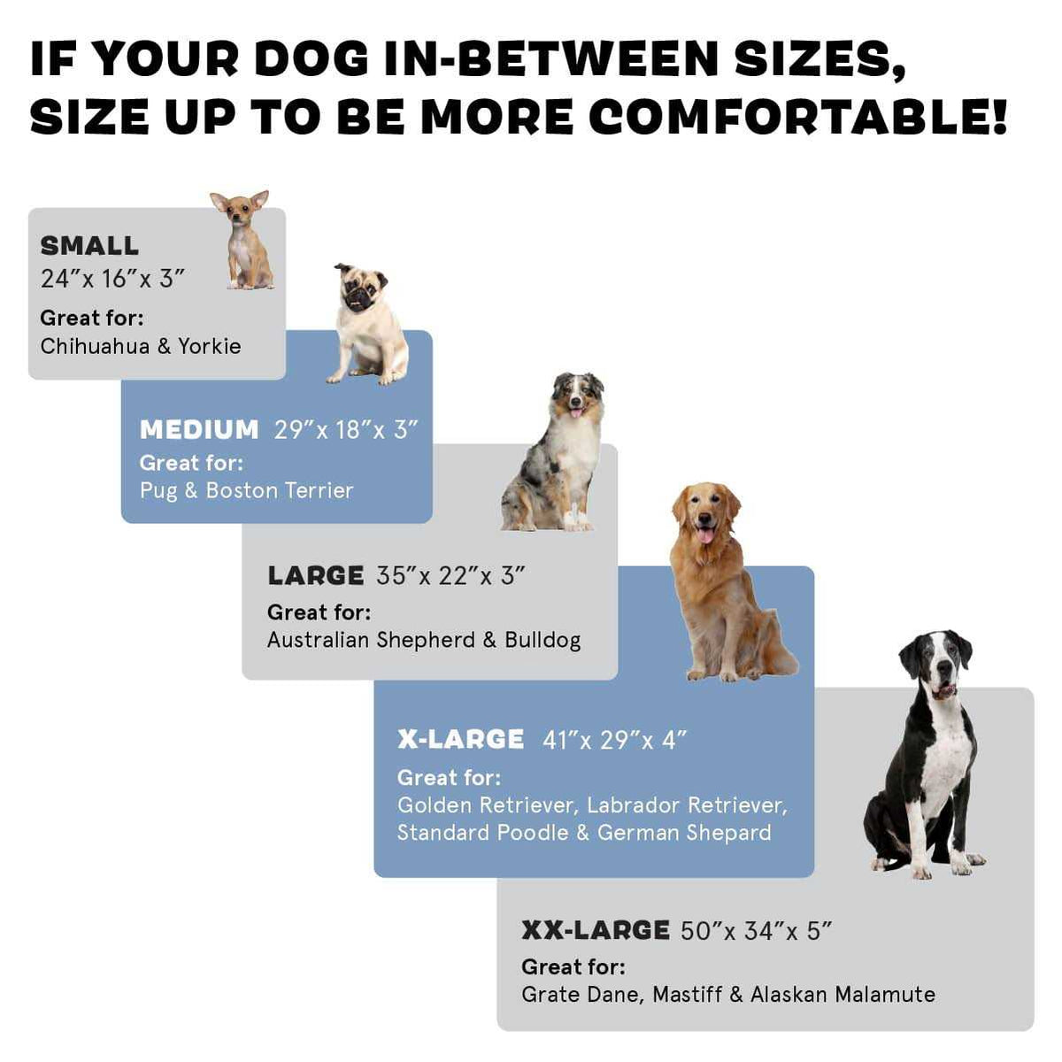 Memory Foam Platform Dog Bed Plush Mattress R3675