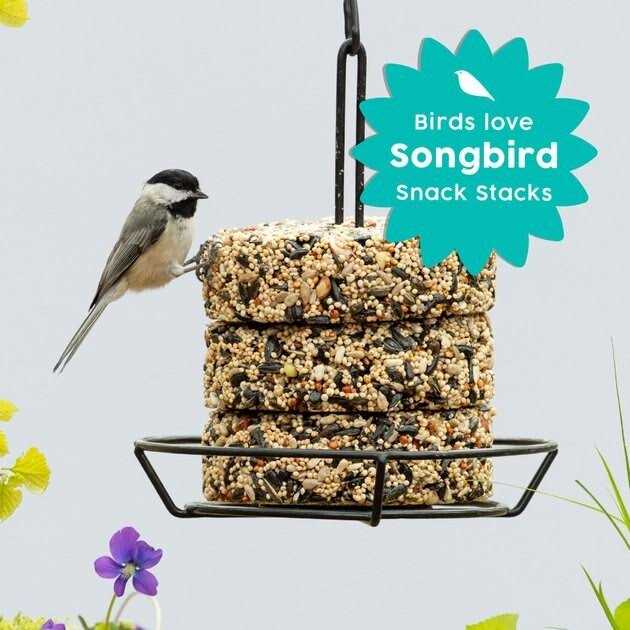 Wild Bird Food O5169
