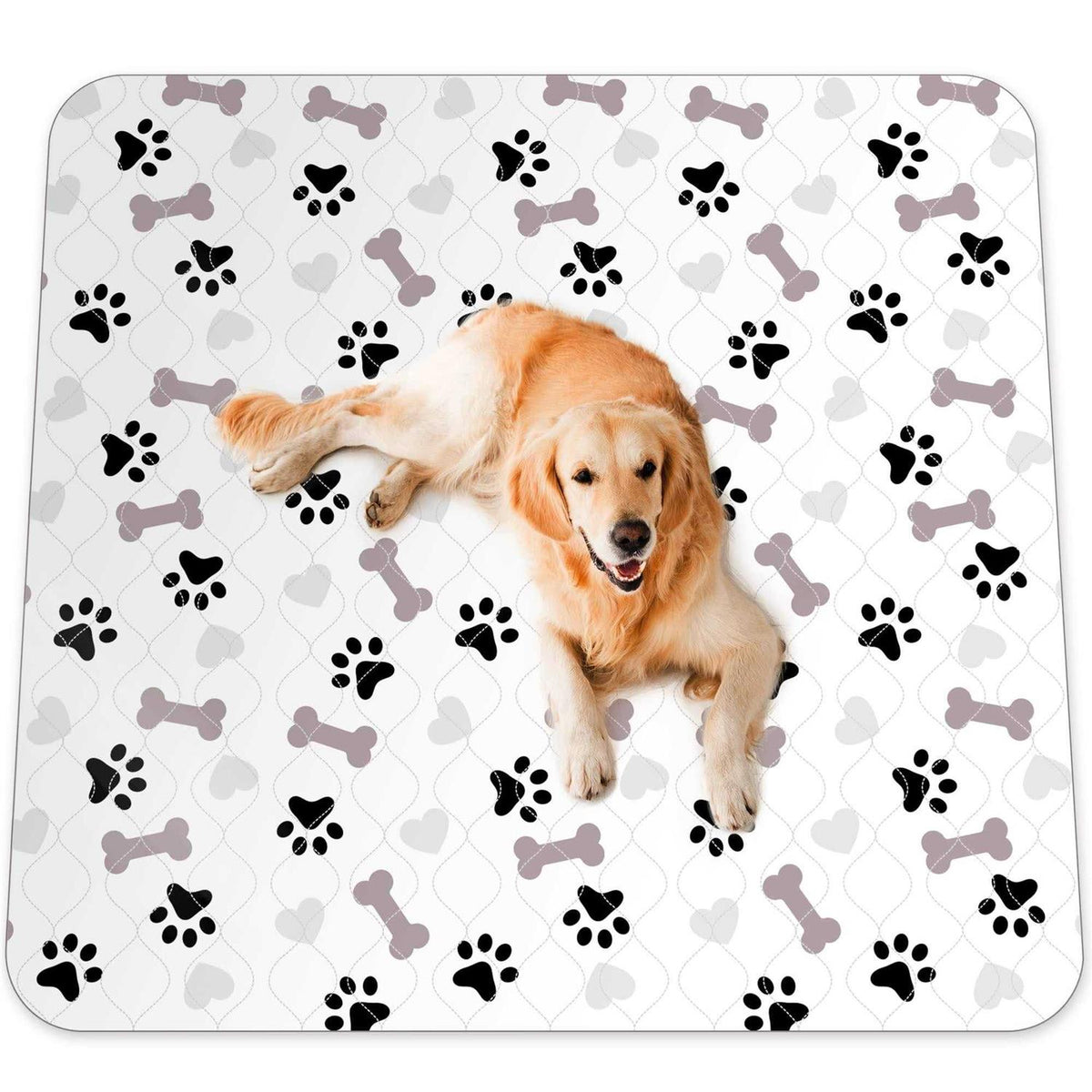 Washable Pee Pads for Dogs S209