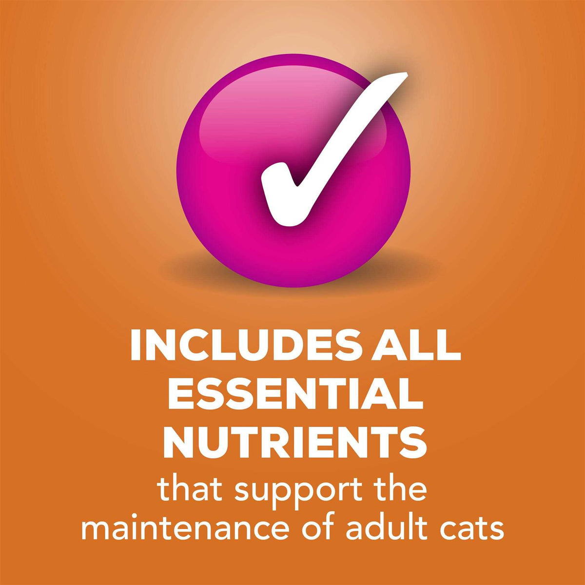 Poultry Platter Pate Cat Food Z984