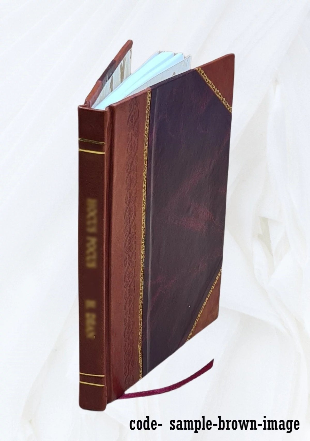 1925 Leather Bound P304780
