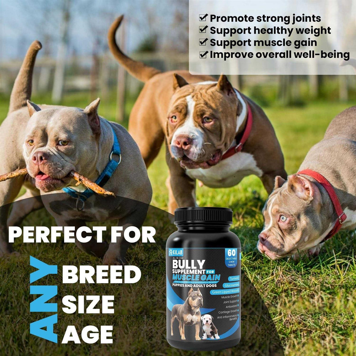 Dog Weight Gainer Muscle Builder Supplement V296813